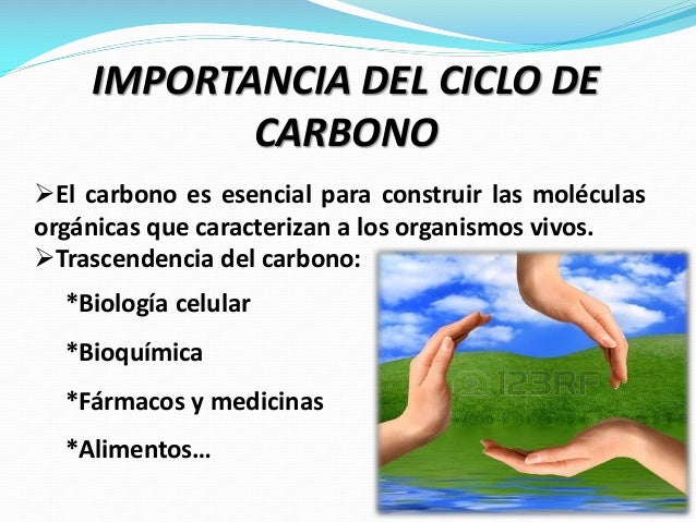Ciclo del Carbono