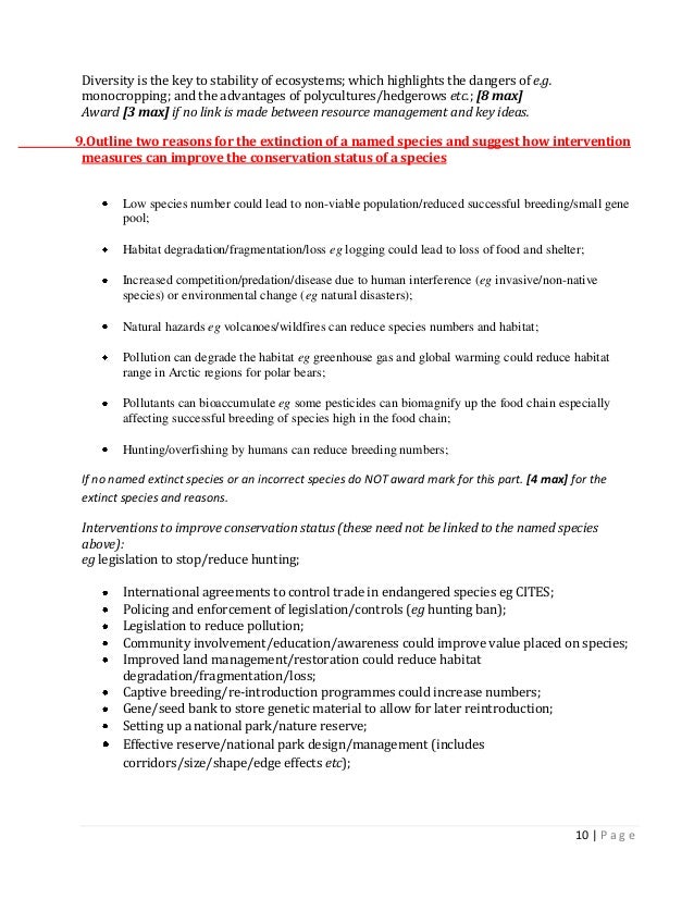 Blog Writing Services India Bselfassessment Essay Writing Is A Skill That Will Never Become Example Of A Proposal Essay also Persuasive Essay Thesis Cultural Self Assessment Essays Bachelor Of Liberal Arts English Essay My Best Friend
