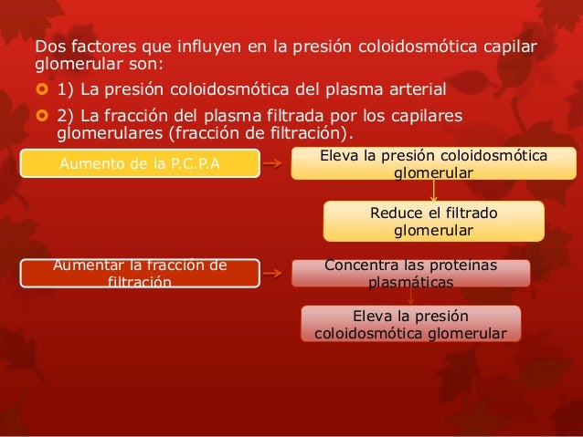 Filtración, reabsorción y secreción de diferentes sustancias Filtración, reabsorción y secreción de diferentes sustancias
