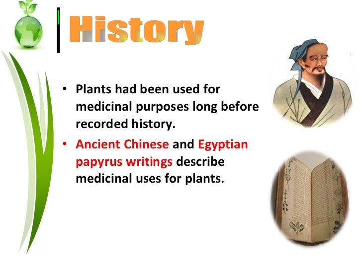 A history of herb essay