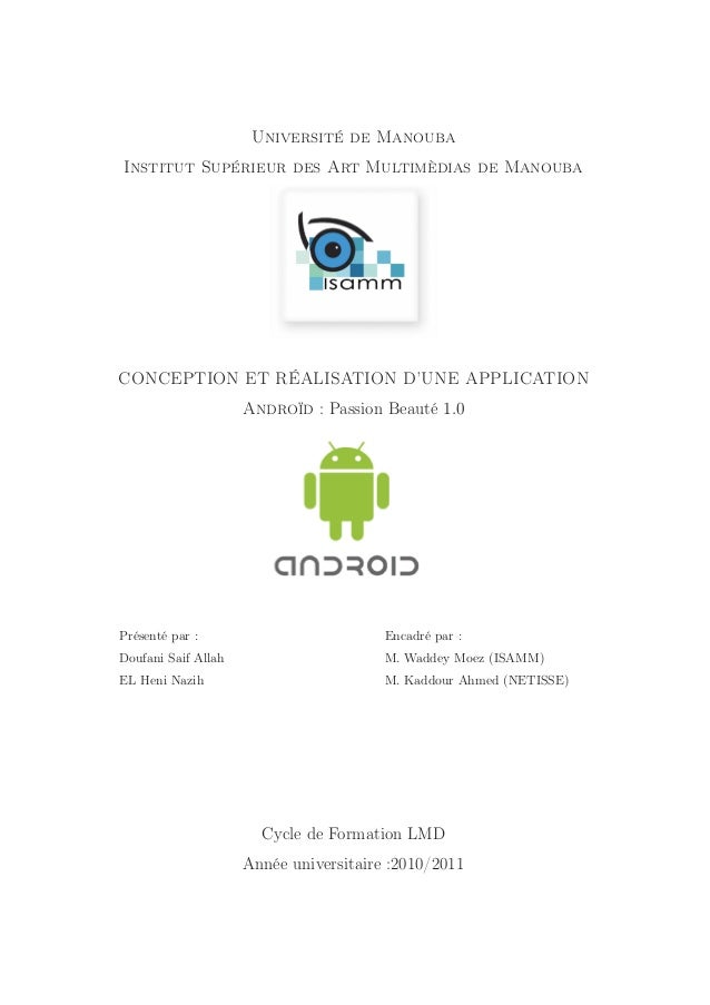 Rapport de projet de fin d'étude licence informatique et multimédia