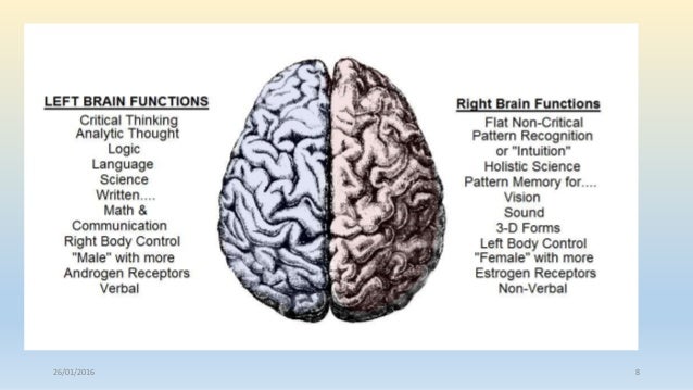 Male Brain Vs Female Brain!