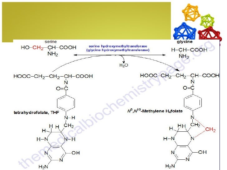 Strecker amino acid synthesis