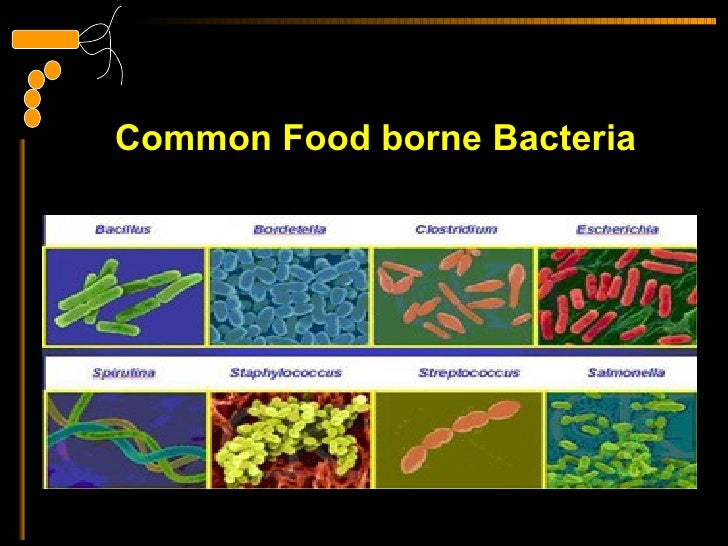 pathogenic bacteria in food