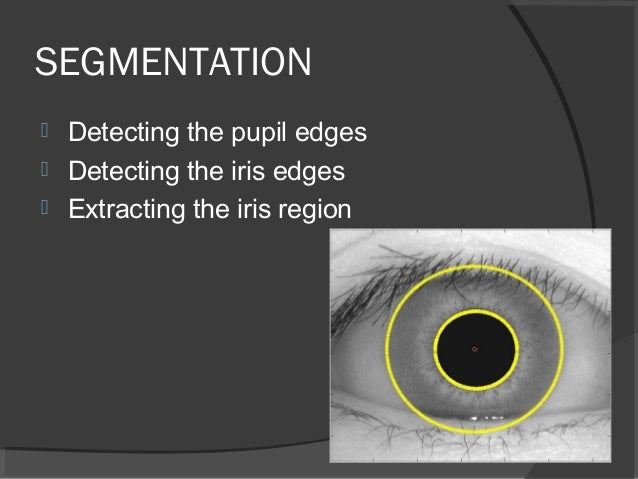 Phd thesis on iris recognition