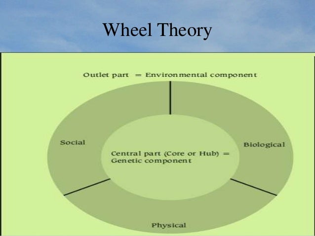 wheel model of disease causation