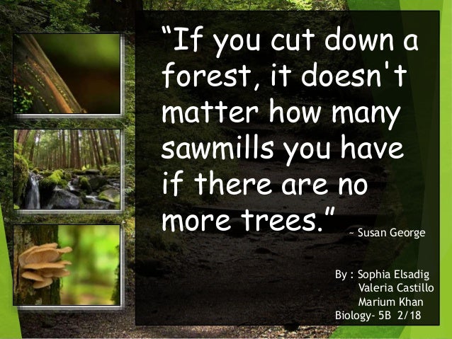 the issue of deforestation and overpopulation in the environment Overpopulation is the world’s top environmental issue, followed closely by climate change and the need to develop renewable energy resources to replace fossil fuels, according to a survey of the faculty at the suny college of environmental science and forestry (esf. the issue of deforestation and overpopulation in the environment Overpopulation is the world’s top environmental issue, followed closely by climate change and the need to develop renewable energy resources to replace fossil fuels, according to a survey of the faculty at the suny college of environmental science and forestry (esf.