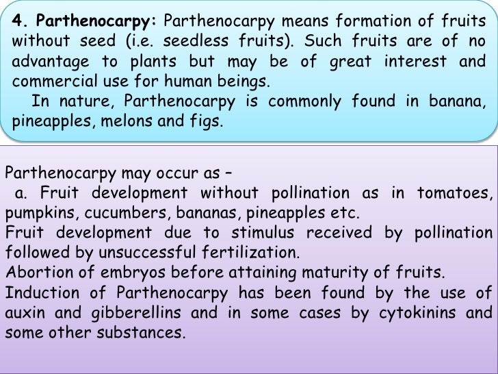 Final preety presentation