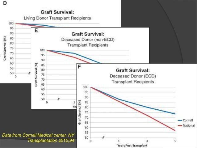 Kidney Transplant tips Kdigo