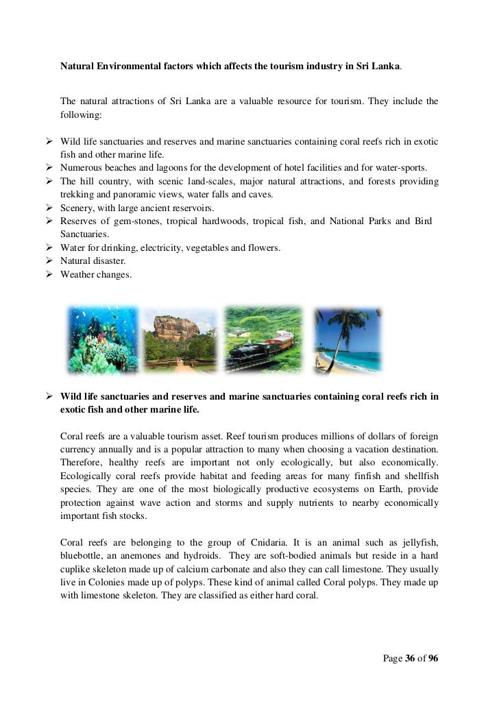 factors that affect travel and tourism tourism essay Get an answer for 'how can political change impact a country's the restrictions on travel by us citizens to cuba seriously environment can affect tourism. factors that affect travel and tourism tourism essay Get an answer for 'how can political change impact a country's the restrictions on travel by us citizens to cuba seriously environment can affect tourism.