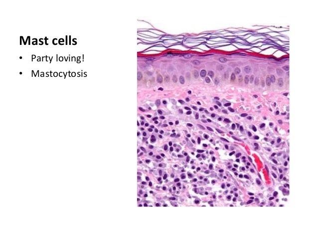 Spongiotic and psoriasiform reaction pattern - Klinika Golnik