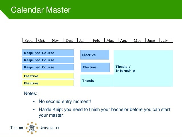 Master thesis examples finance