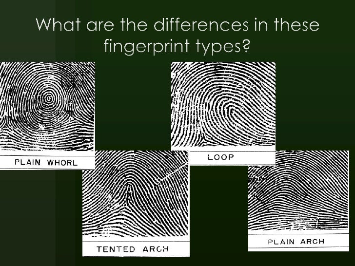 Fingerprinting Slides