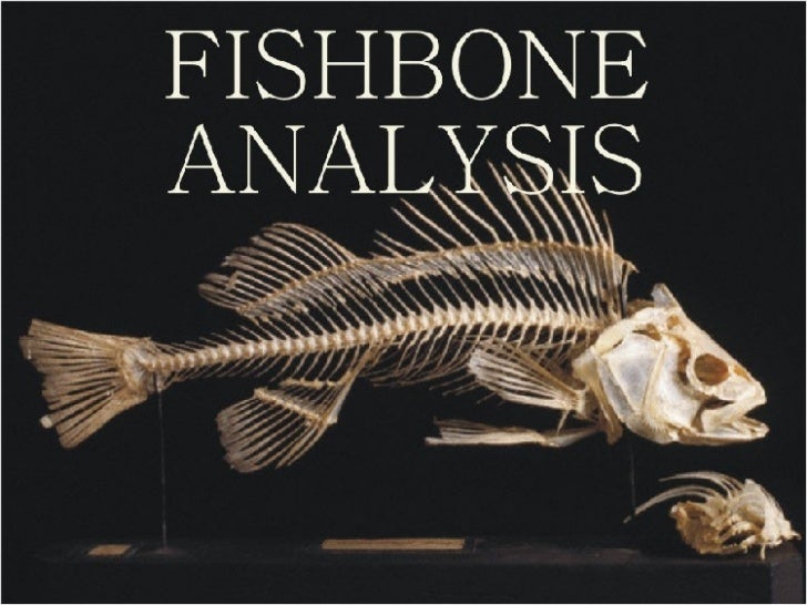 Fish Bone