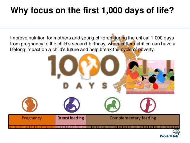 Watch How to Improve Old Age Health During Your Youth video Watch How to Improve Old Age Health During Your Youth video