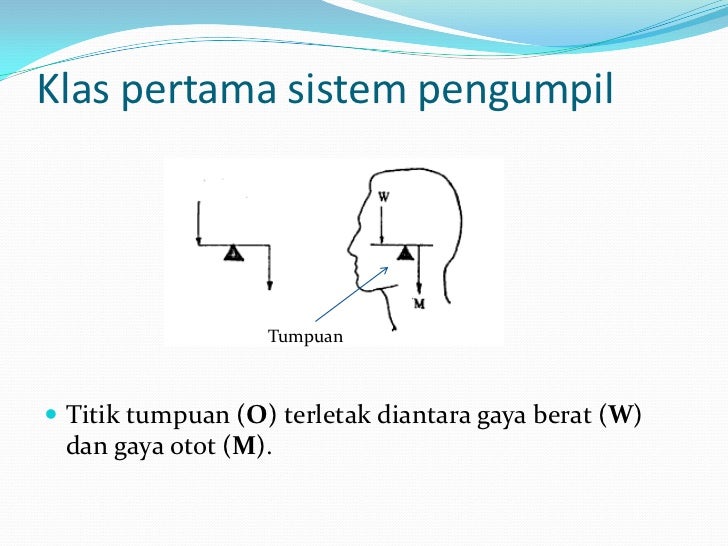 Titik nol sistem forex