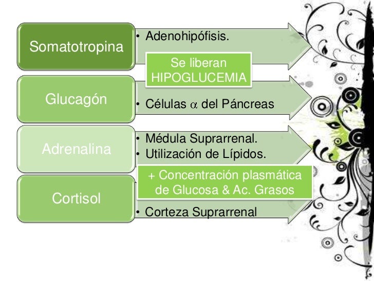 Fisiologia Insulina, Glucagon Y Diabetes Fisiologia Insulina, Glucagon Y Diabetes