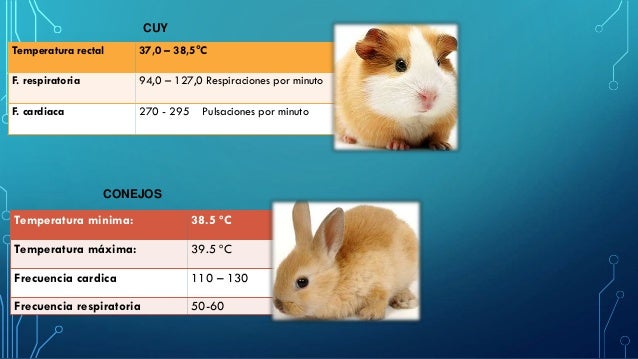 Fisiología animal..y signos vitales