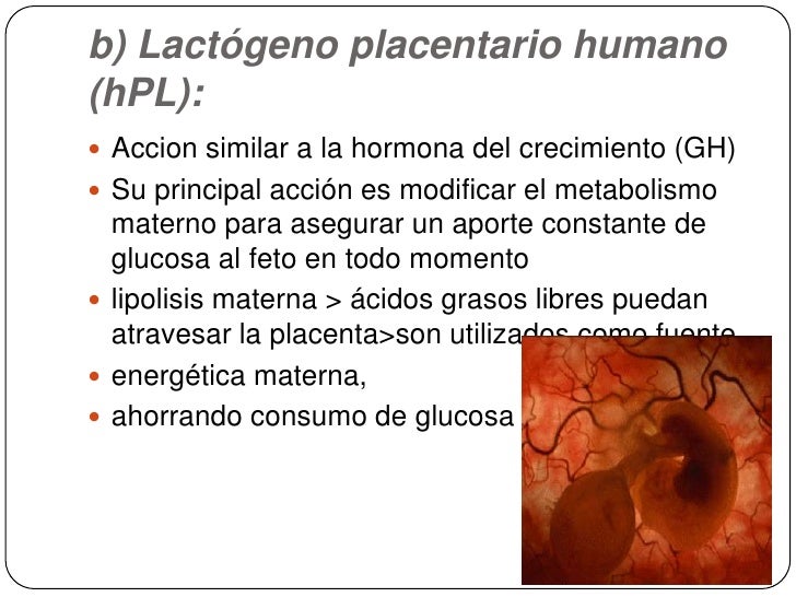 Fisiología Placentaria Fisiología Placentaria