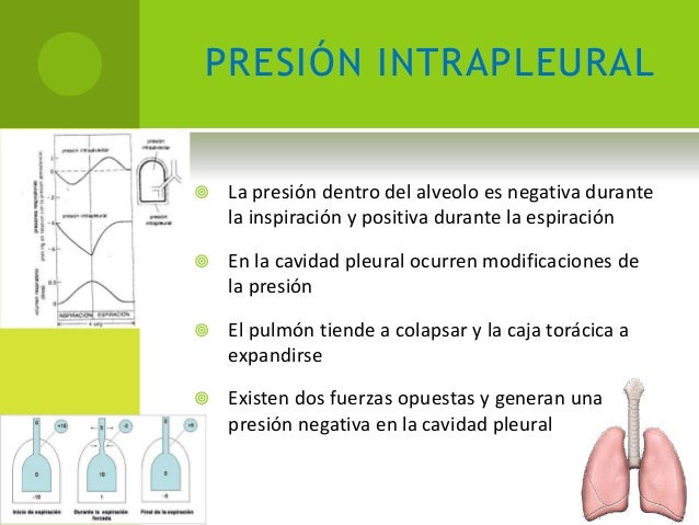 Fisiología respiratoria aplicada a la anestesia