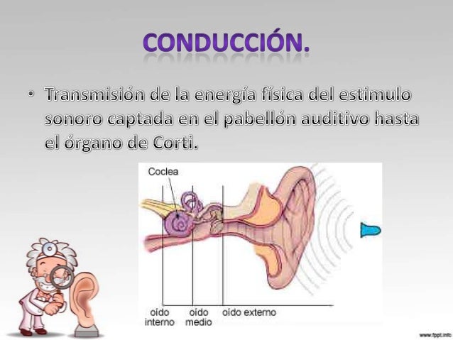 Las máscaras para los párpados superiores que aprietan