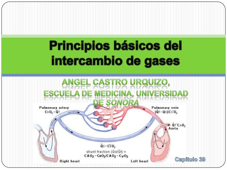 FISIOLOGIA TISULAR fisiologia tisular: