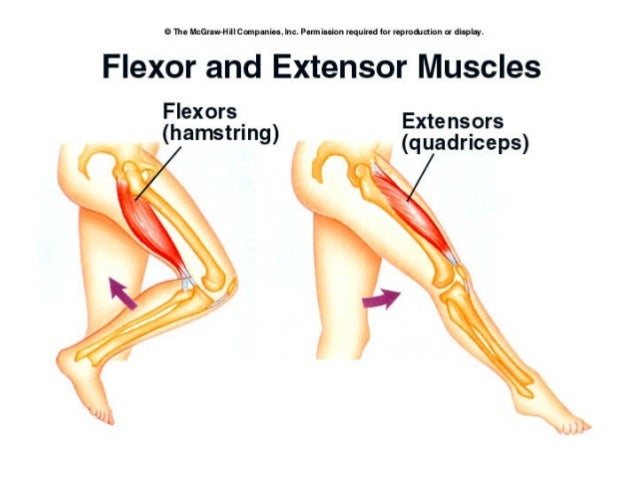 Sore Lower Back And Cipro