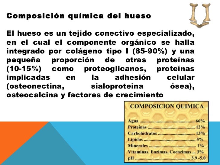 Fisiologia osea i[1]
