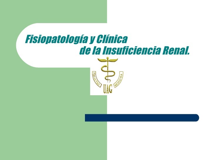 FISIOPATOLOGIA RENAL fisiopatologia renal:
