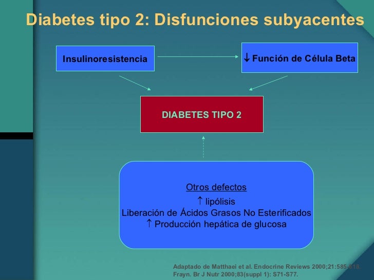 Fisiopatologia Diabetes Mellitus 2 Fisiopatologia Diabetes Mellitus 2