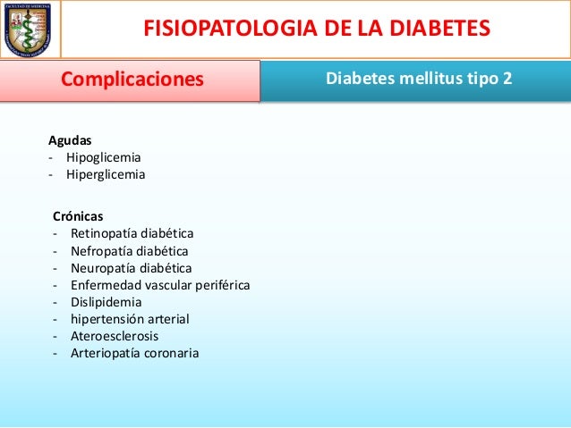 Fisiopatologia de la diabetes mellitus tipo 2 Fisiopatologia de la diabetes mellitus tipo 2