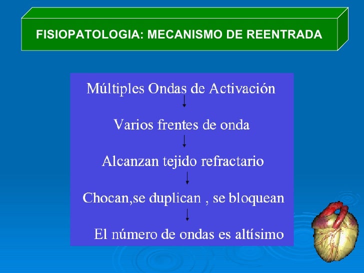 Fisiopatologia De Las Arritmias Fisiopatologia De Las Arritmias