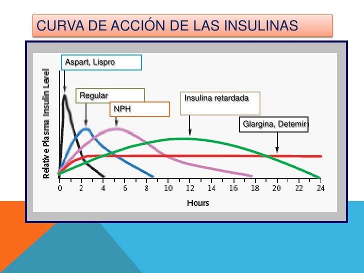 Fisiopatologia Diabetes Mellitus Tipo I Fisiopatologia Diabetes Mellitus Tipo I
