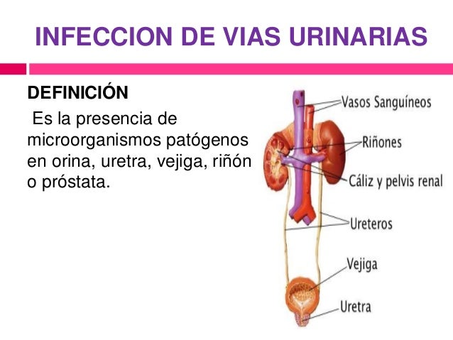 kidney characteristic blood paintings
