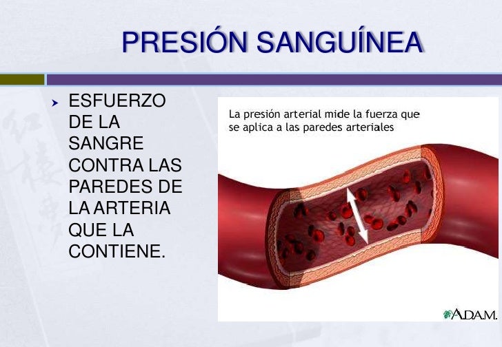 presion arterial La presión arterial es la fuerza que la sangre ejerce contra las paredes de los vasos sanguíneos la presión arterial alta hace que el corazón se esfuerce demasiado puede causar un ataque al corazón, ataque cerebral y daño en los riñones y los ojos. presion arterial La presión arterial es la fuerza que la sangre ejerce contra las paredes de los vasos sanguíneos la presión arterial alta hace que el corazón se esfuerce demasiado puede causar un ataque al corazón, ataque cerebral y daño en los riñones y los ojos.