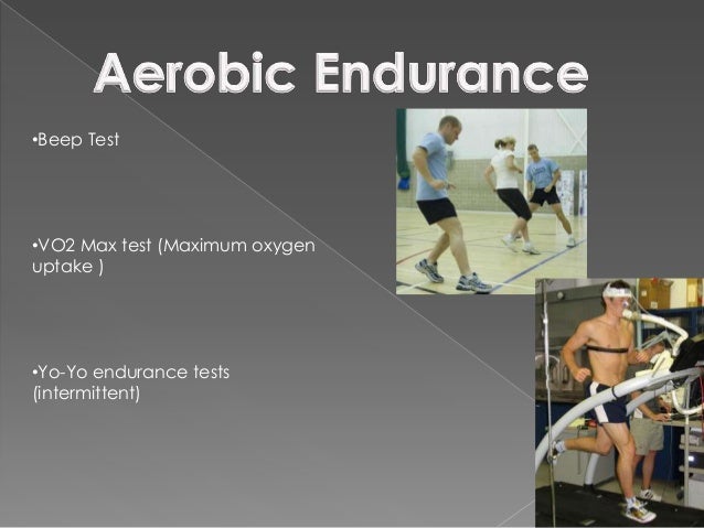 Fitness components/training/testing methods