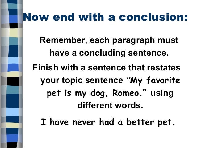 Dog essay