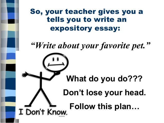Favourite channel essay Favourite channel essay image