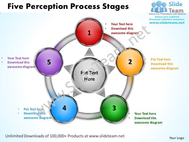 perception process 3 stages perception process 3 stages
