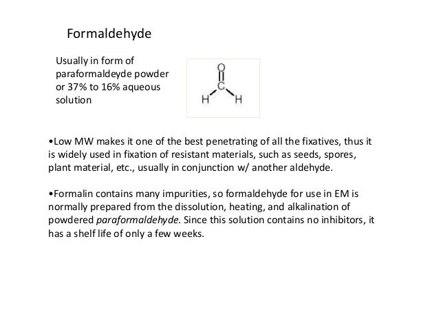 Paraformaldehyde Shelf fixation Paraformaldehyde Shelf fixation