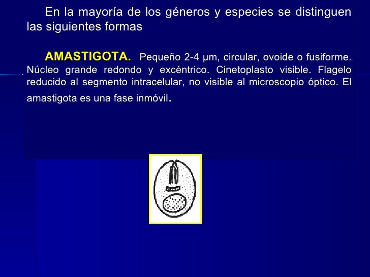 Como aceptar el tanaceto de los parásitos a los niños