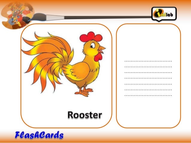 Flashcards farm animals