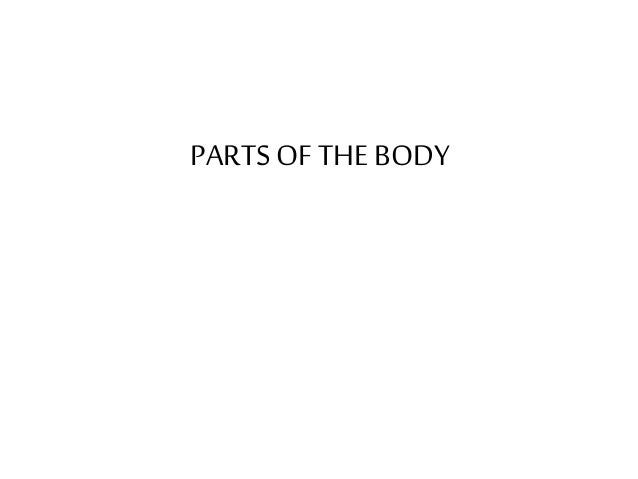 PARTS OF THE BODY FLASHCARDS