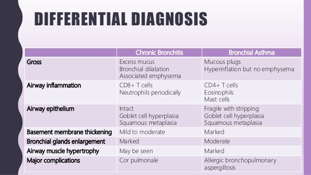 Discussion on this topic: What Is Nocturnal Asthma, what-is-nocturnal-asthma/ Communication on this topic: What Is Nocturnal Asthma, what-is-nocturnal-asthma/