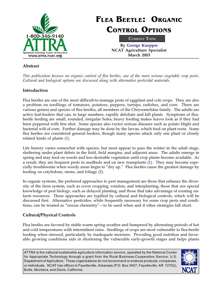Hartz Flea Treatment For Cats Review Hartz Flea Treatment For Cats Review
