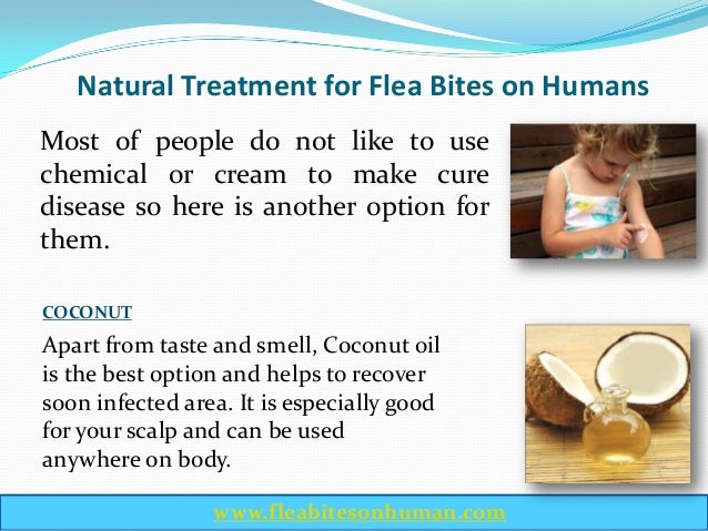 Flea Bites Picture Image on MedicineNet.com