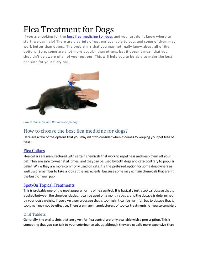 what is the best flea treatment for dogs flea treatment for dogs how to choose the best flea medicine for do what is the best flea treatment for dogs flea treatment for dogs how to choose the best flea medicine for do