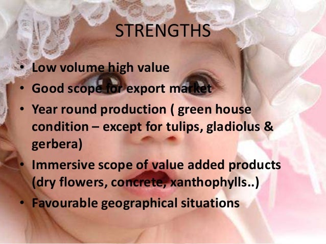 global floriculture industry value chain Evaluation and development of floriculture supply chain in ethiopia global view of floriculture industries participate in floriculture industry but it cannot alone guarantee the competitiveness of ethiopian. global floriculture industry value chain Evaluation and development of floriculture supply chain in ethiopia global view of floriculture industries participate in floriculture industry but it cannot alone guarantee the competitiveness of ethiopian.