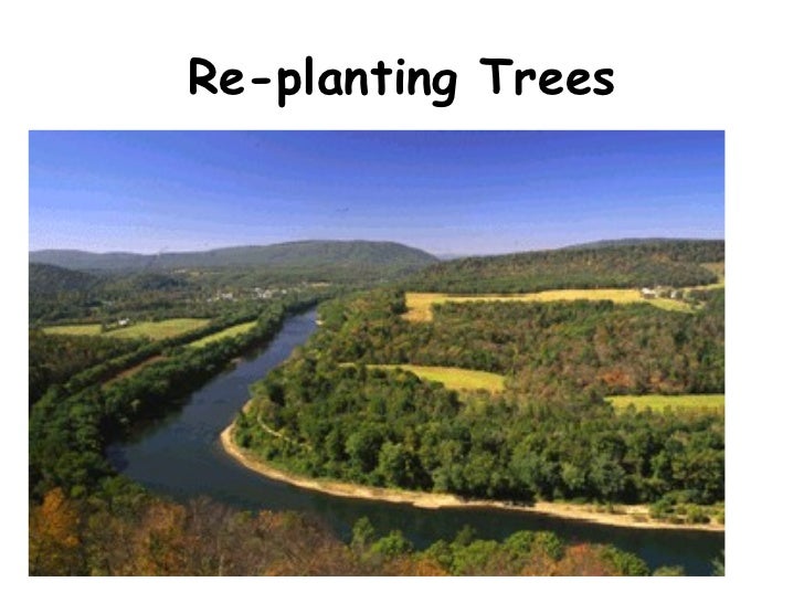 Flood Solutions Soft Engineering Strategies