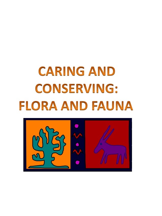 essay conservation flora fauna